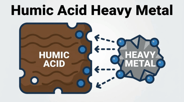 humic acid heavy metal
